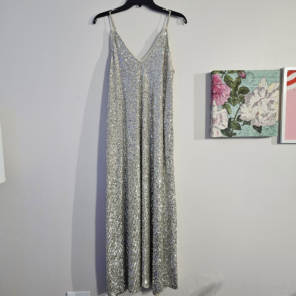ZARA EUC Mesh Sequin Maxi Dress, size S